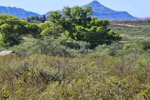 014C Willcox 014C Rd #5 --, Huachuca City, AZ 85616 - Photo 1