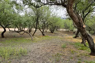 1642 E River Bend Rd, Camp Verde, AZ 86322 - Photo 5