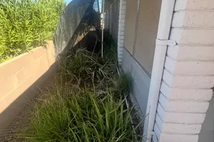 7713 E Impala Ave, Mesa, AZ 85209 - Photo 25