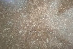 2126 S Dakota Ave, Apache Junction, AZ 85119 - Photo 7