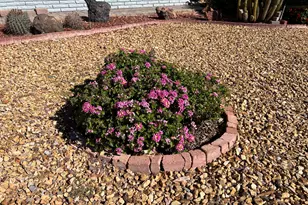 10902 W Brookside Dr, Sun City, AZ 85351 - Photo 45