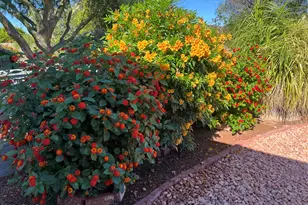 10902 W Brookside Dr, Sun City, AZ 85351 - Photo 35