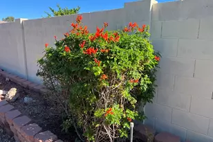 10902 W Brookside Dr, Sun City, AZ 85351 - Photo 39