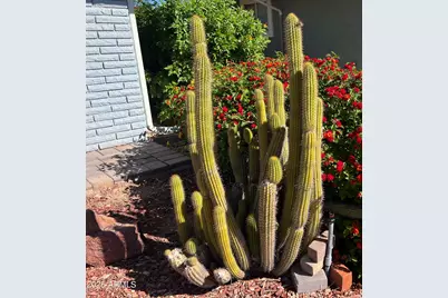 10902 W Brookside Drive, Sun City, AZ 85351 - Photo 41