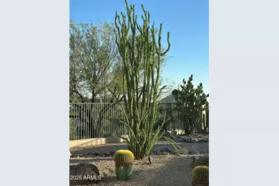 15107 E Desert Willow Drive, Fountain Hills, AZ 85268 - Photo 35