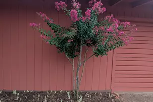 100 Palo Verde Cir, Sedona, AZ 86351 - Photo 7