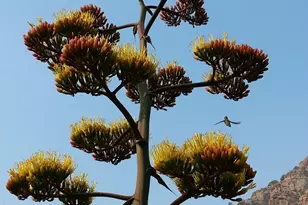 100 Palo Verde Cir, Sedona, AZ 86351 - Photo 15