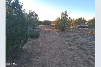 46 County Rd N8339 -- #-, Concho, AZ 85924 - Photo 17