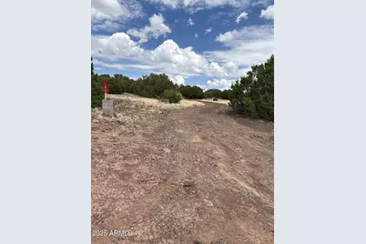 46 County Rd N8339 -- #-, Concho, AZ 85924 - Photo 9