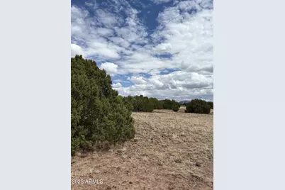 48 County Rd N8339 -- #-, Concho, AZ 85924 - Photo 9