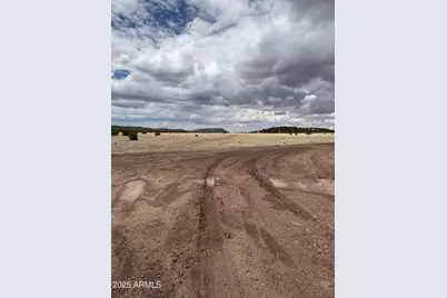 48 County Rd N8339 -- #-, Concho, AZ 85924 - Photo 11