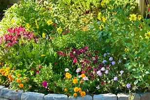 912 W Madera Ln, Payson, AZ 85541 - Photo 3