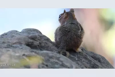 912 W Madera Lane, Payson, AZ 85541 - Photo 43