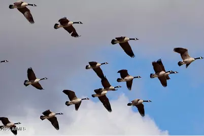 912 W Madera Lane, Payson, AZ 85541 - Photo 51