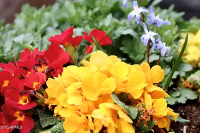 912 W Madera Lane, Payson, AZ 85541 - Photo 61