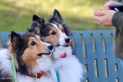 912 W Madera Lane, Payson, AZ 85541 - Photo 37