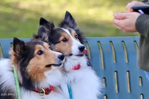 912 W Madera Ln, Payson, AZ 85541 - Photo 37