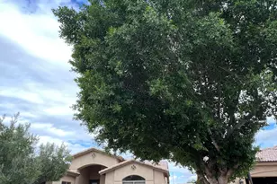 4484 E Redfield Ct, Gilbert, AZ 85234 - Photo 3