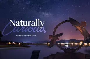 13826 N Saguaro Blvd, Fountain Hills, AZ 85268 - Photo 33