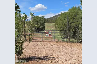 455 N Seeley Road, Young, AZ 85554 - Photo 59