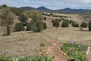 455 N Seeley Rd, Young, AZ 85554 - Photo 41