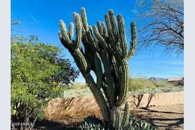 5898 E Chuckwalla Trail, Cave Creek, AZ 85331 - Photo 43