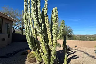 5898 E Chuckwalla Trail, Cave Creek, AZ 85331 - Photo 51