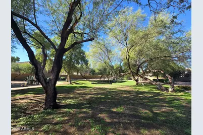 20919 N 39th Place N, Phoenix, AZ 85050 - Photo 5