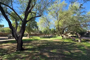 20919 N 39th Pl N, Phoenix, AZ 85050 - Photo 5