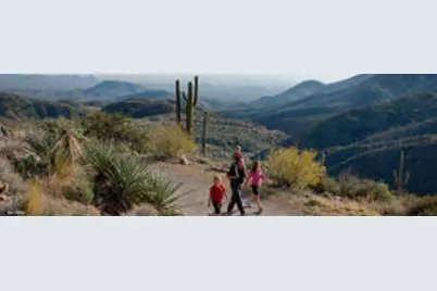 40199 N 105th Place, Scottsdale, AZ 85262 - Photo 45