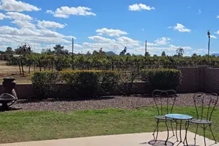 924 E Saguaro Dr, Pearce, AZ 85625 - Photo 29