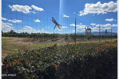 924 E Saguaro Drive, Pearce, AZ 85625 - Photo 31