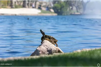 42553 W Sparks Drive, Maricopa, AZ 85138 - Photo 23