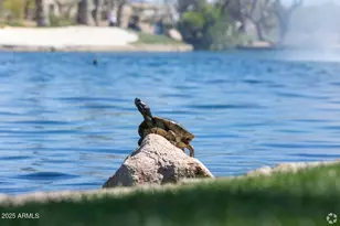 42553 W Sparks Dr, Maricopa, AZ 85138 - Photo 23