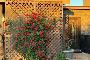 836 W State Route 260 --, Camp Verde, AZ 86322 - Photo 37