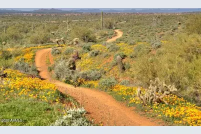 2306 W Long Shadow Trail, Phoenix, AZ 85085 - Photo 77