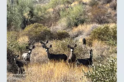 14717 E Prairie Dog Trail #15, Fountain Hills, AZ 85268 - Photo 5