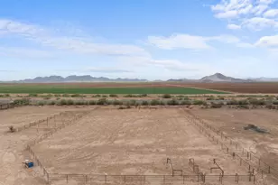47530 W Ray St, Aguila, AZ 85320 - Photo 41
