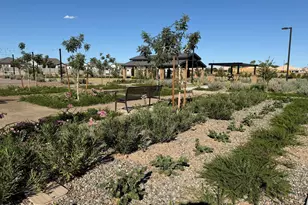 6860 S Crosscreek Dr, Chandler, AZ 85249 - Photo 17