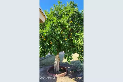 10338 W Kingswood Circle, Sun City, AZ 85351 - Photo 25