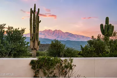 26915 N 162nd Street, Scottsdale, AZ 85262 - Photo 77