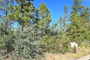 440 E Stoneridge Circle E, Show Low, AZ 85901 - Photo 1