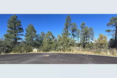 440 E Stoneridge Circle E #375, Show Low, AZ 85901 - Photo 3