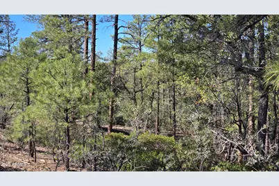 440 E Stoneridge Circle E #375, Show Low, AZ 85901 - Photo 5