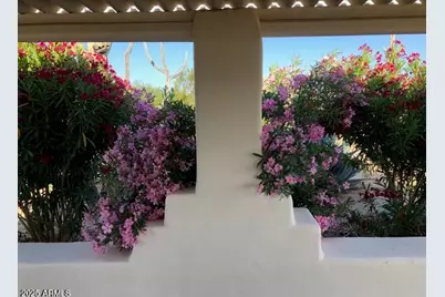 8362 N Dead Mans Gulch Road, Florence, AZ 85132 - Photo 29