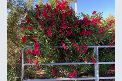 8362 N Dead Mans Gulch Road, Florence, AZ 85132 - Photo 27