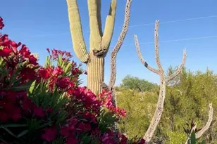 8362 N Dead Mans Gulch Rd, Florence, AZ 85132 - Photo 25