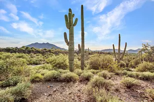 7143 E Highland Rd, Cave Creek, AZ 85331 - Photo 45