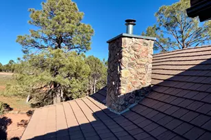 2761 Apollo Cir, Overgaard, AZ 85933 - Photo 41