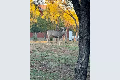 2761 Apollo Circle, Overgaard, AZ 85933 - Photo 47